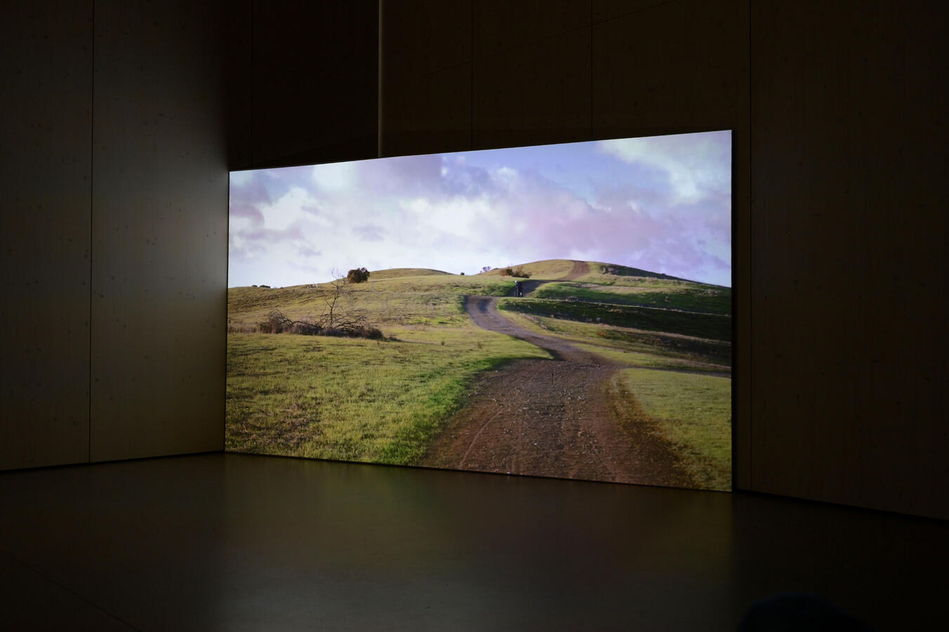 Juliane Henrich: inside or outside (shells), Foto: GBB