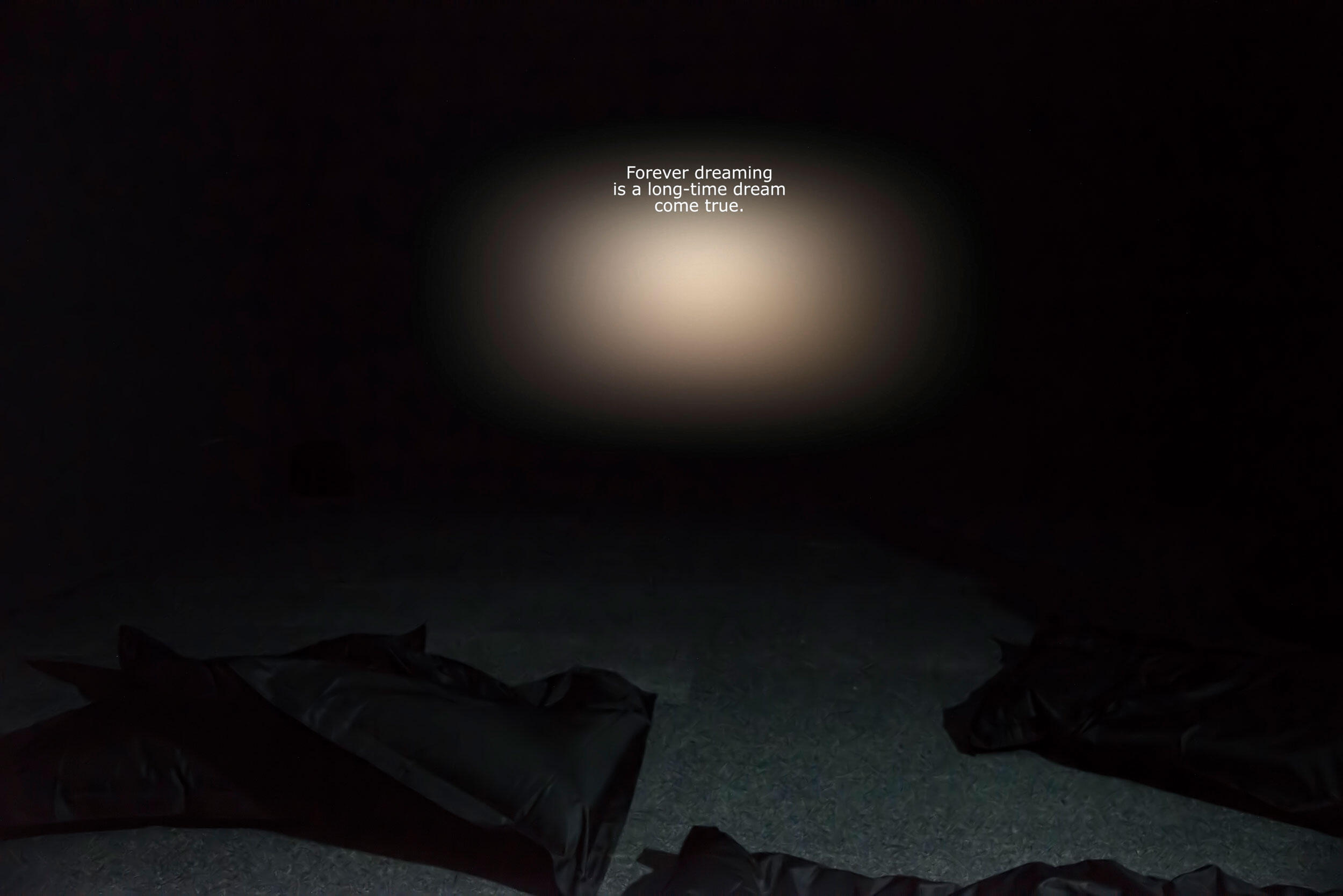 Kristin Reiman: The Drowse (or the Age of Constant Fatigue), Foto: Anja Köhne