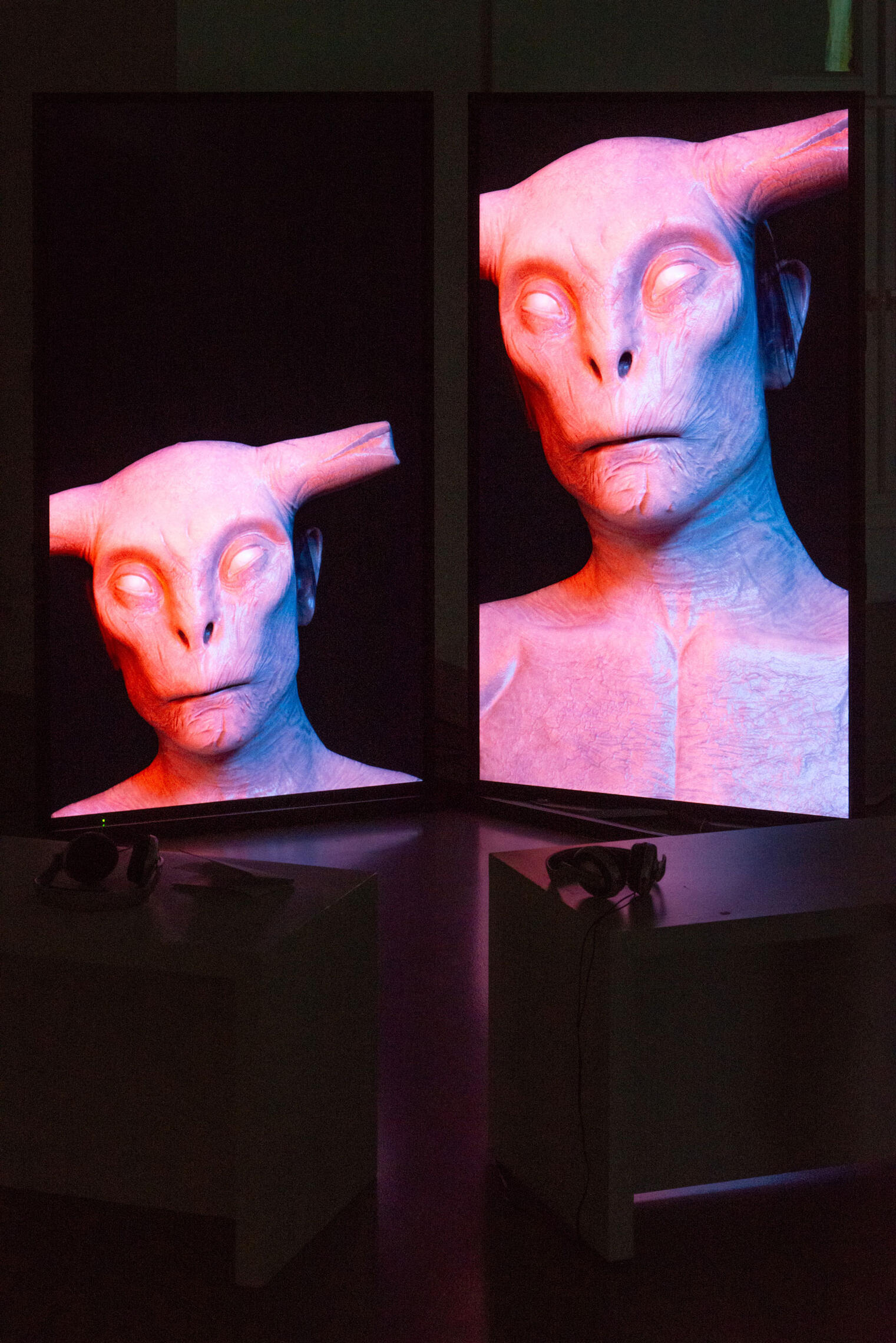 Cihad Caner: Demonst(e)rating the Untamable Monster, Foto: Anja Köhne