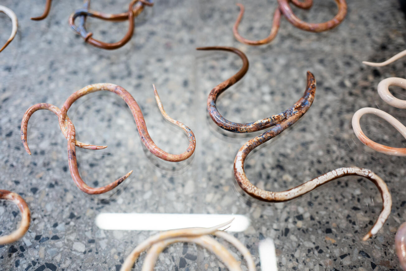 Anna Breit: bodies performing alphabet, Foto: Maximilian Koppernock