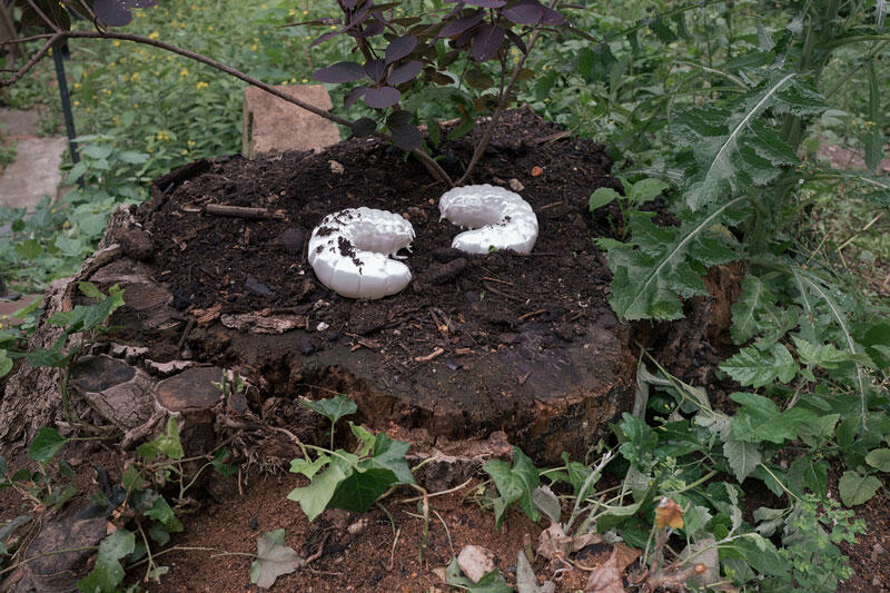 THERE IS NO SUCH THING AS HEALTH