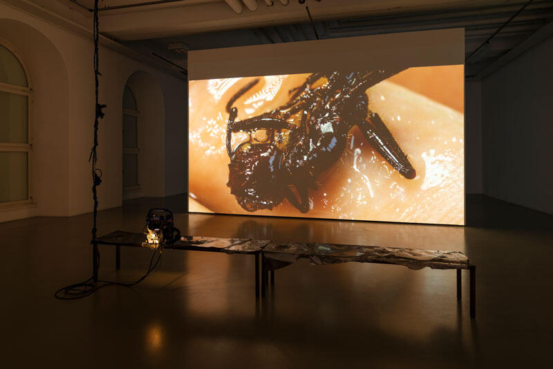 Monitoring: Myth and Microgravity