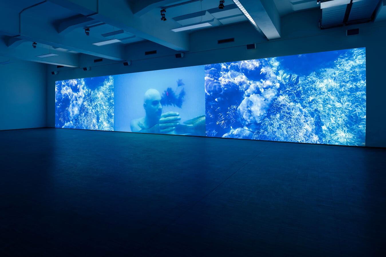 Nadia Granados, Simon(e) Jaikiriuma Paetau: Mojana, Foto: Nicolas Wefers