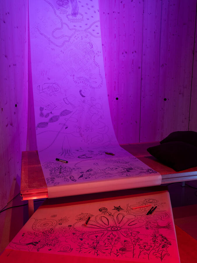 Paula Berger: the whole humanity as my ingroup?, Foto: Lucas Melzer